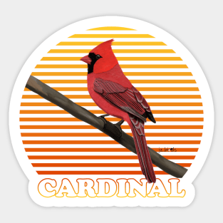 Northern Cardinal Bird Watching Birding Ornithologist Gift Sticker